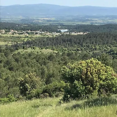 La Rosela De La Cite Bed & Breakfast