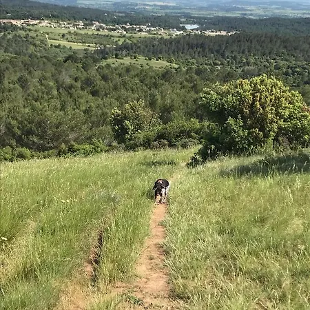 La Rosela De La Cite Bed & Breakfast 3*