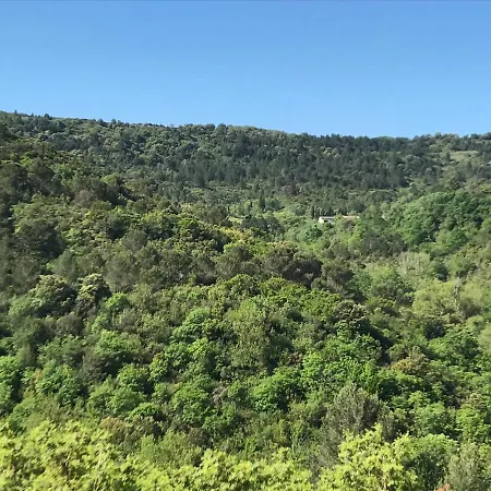 La Rosela De La Cite Palaja