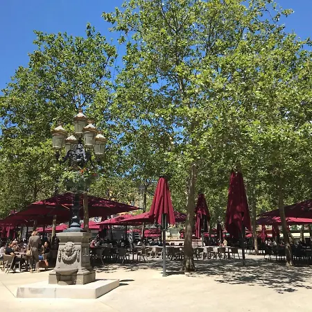 La Rosela De La Cité 3*