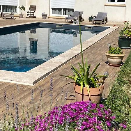 La Rosela De La Cité Bed & Breakfast Palaja