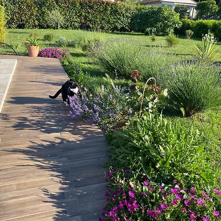 La Rosela De La Cite Bed & Breakfast 3*