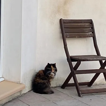 La Rosela De La Cite Bed & Breakfast Palaja