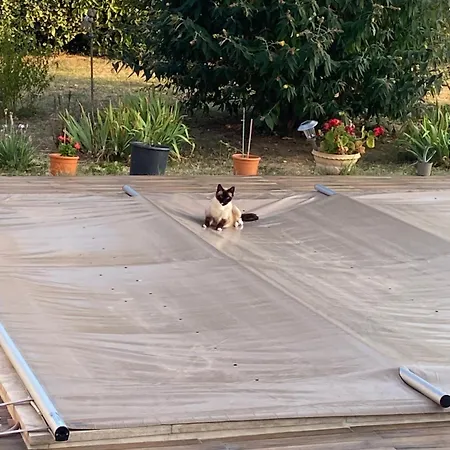 La Rosela De La Cite Palaja