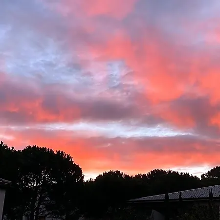La Rosela De La Cite 3*